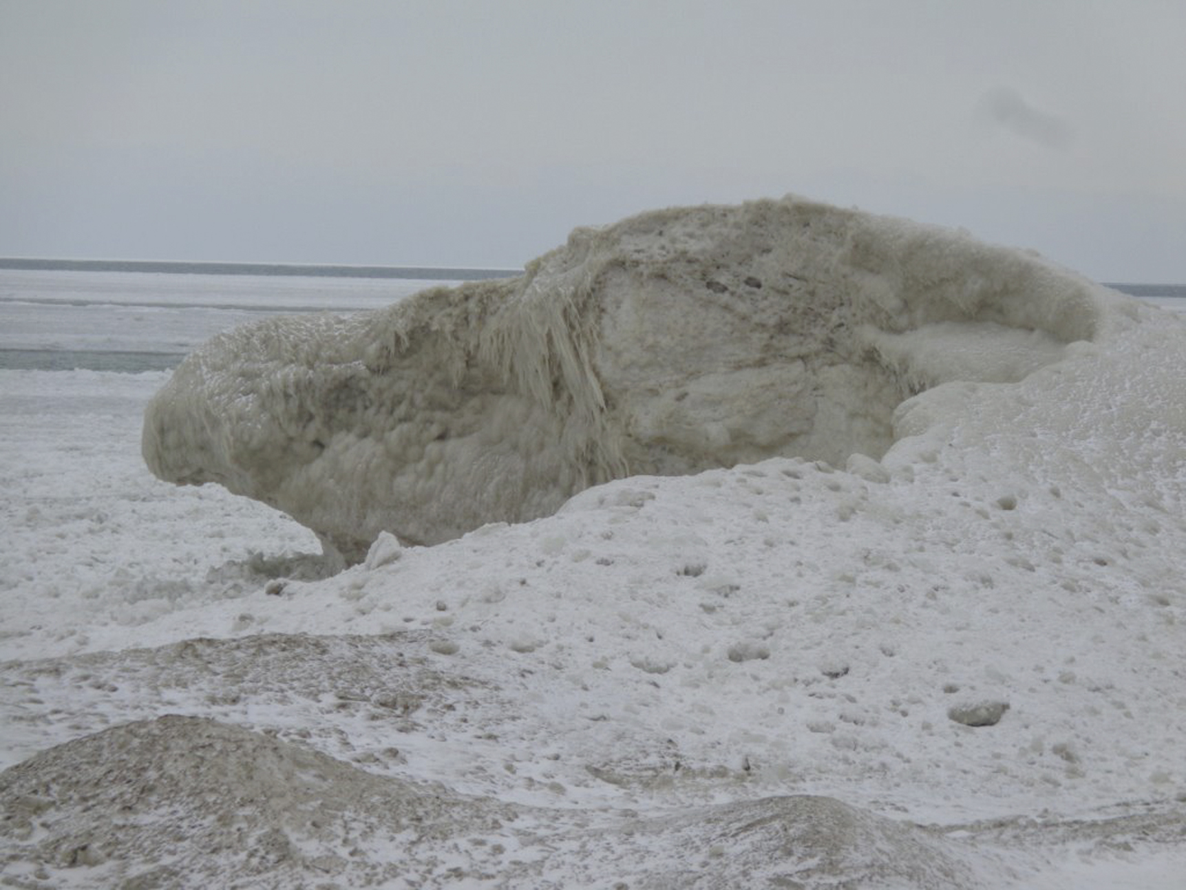 Frozen groundhog? News, Sports, Jobs Observer Today